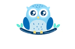 Blue Owl (previously known as Acorn)